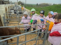 Landfarm in Melaune